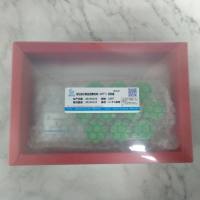 活化部分凝血活酶时间（APTT）