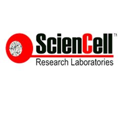 ScienCell纤维粘连蛋白（人源）HCF（货号:8488）