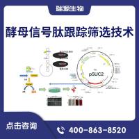 酵母信号肽跟踪筛选技术(酵母信号肽检测/酵母信号肽筛选/酵母信号肽文库/信号肽分泌功能验证/酵母分泌信号肽)