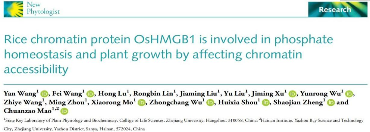 康测金牌产品ChIP-seq,助力老师发文“New Phytologist”