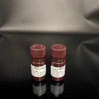 人外周血淋巴细胞分离液