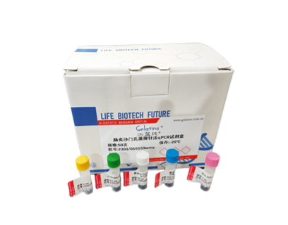 登革病毒2型探针法荧光定量RT-PCR试剂盒