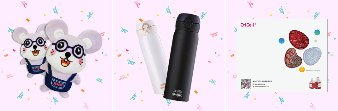 【周四开课】解码间充质干细胞研究:原代分离、培养及鉴定