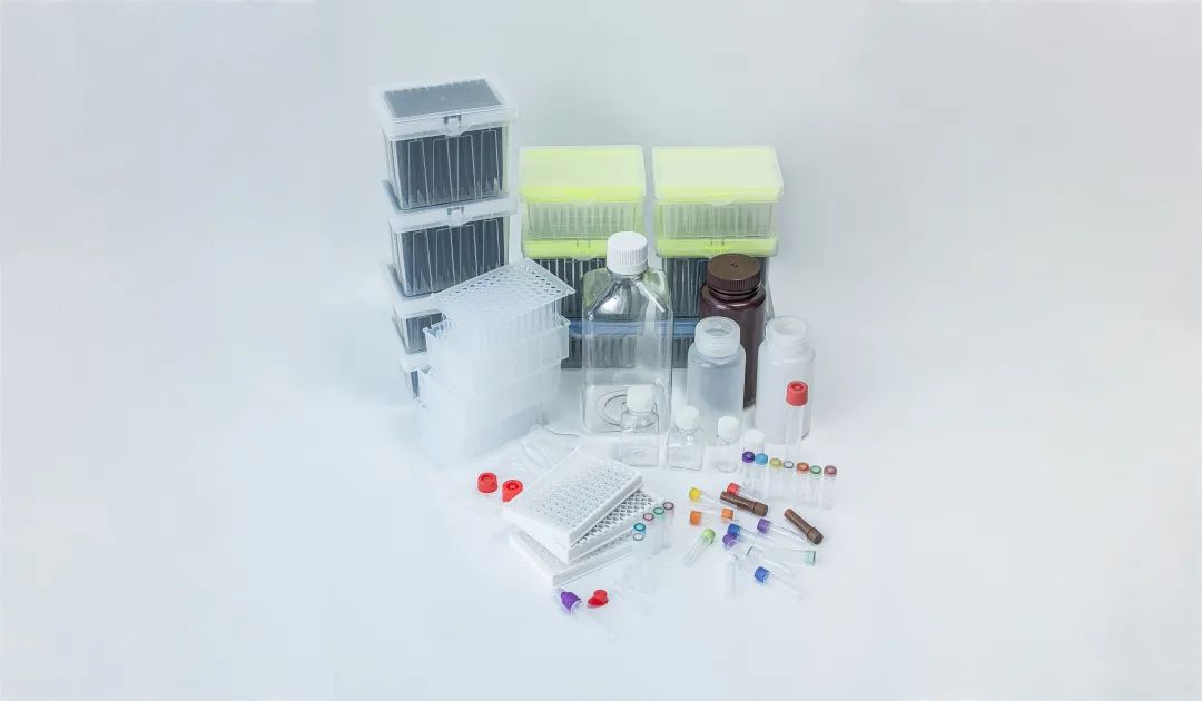 三分钟带你了解「内毒素」