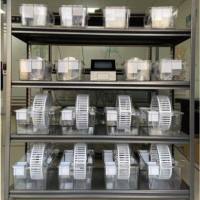 动物实验自主跑轮