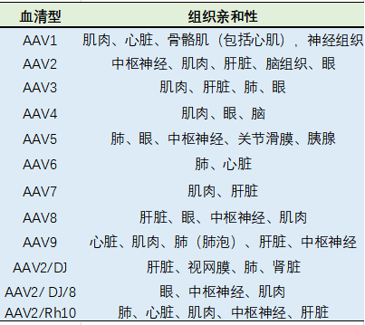 腺相关病毒常见问题与解答——看这一篇就够了