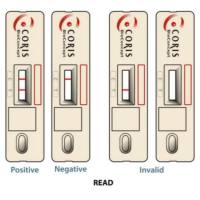 碳青霉烯酶检测试剂盒(胶体金法)