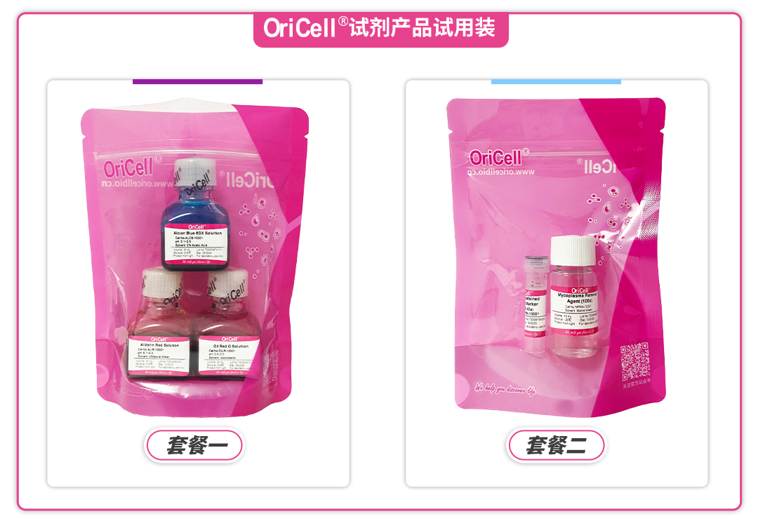 【周四开课】解码间充质干细胞研究:原代分离、培养及鉴定