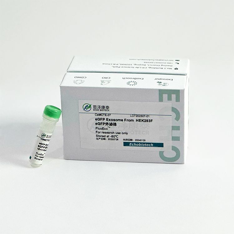 eGFP绿色荧光外泌体-FluoExoTM|高浓度高阳性率现货产品