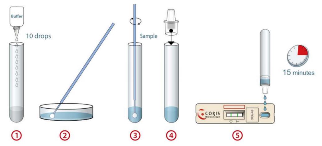 碳青霉烯酶胶体金检测盒
