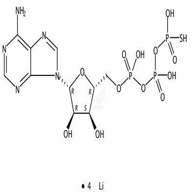 5'-(Γ-硫代)三磷酸腺苷四锂盐  CAS号：93839-89-5
