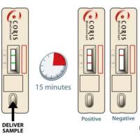 碳青霉烯酶胶体金检测盒