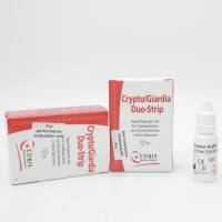 快速碳青霉烯酶检测试剂盒