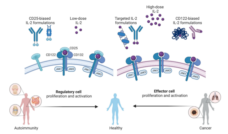 【话说靶点】引领药物研发新旅程