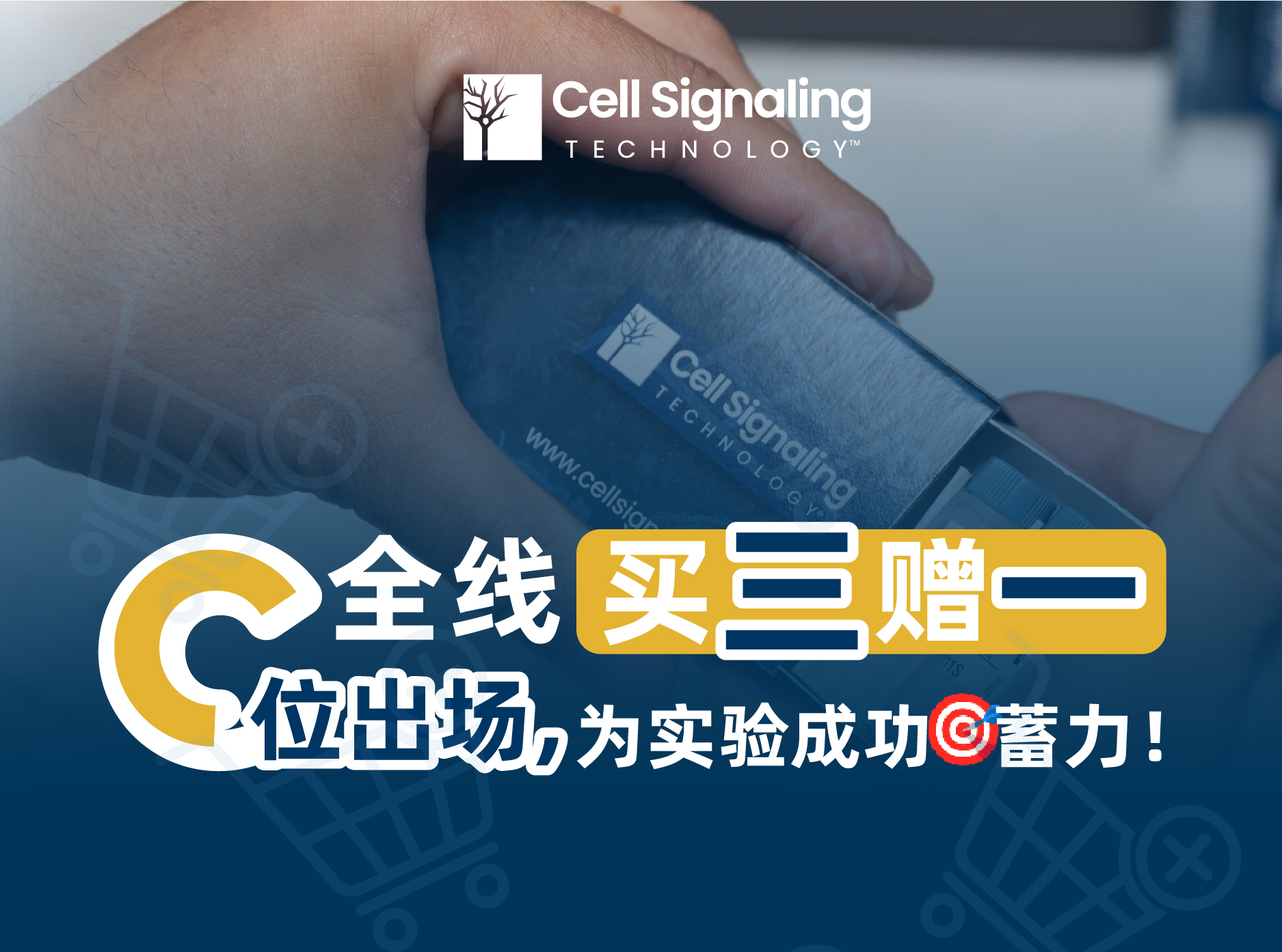 全线买三赠一C位出场，为实验成功蓄力！