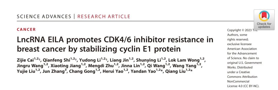 Science子刊丨LncRNA EILA通过稳定cyclin E1蛋白促进CDK4/6抑制剂在乳腺癌中的耐药性
