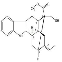 (Z)-阿枯米定碱  CAS号：113973-31-2