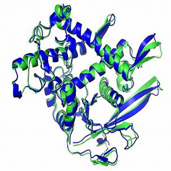 IL-23alpha蛋白