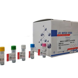 人偏肺病毒探针法荧光定量RT-PCR试剂盒