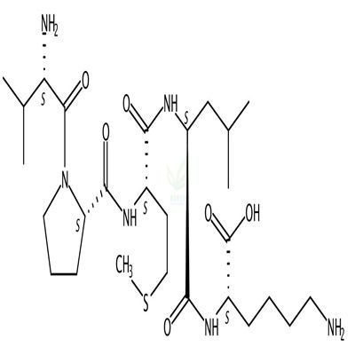 BAX抑制肽V5  CAS号：579492-81-2