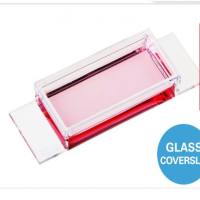 德国ibidi µ-Slide 1 Well 1孔腔室载玻片-82106 82101 82107