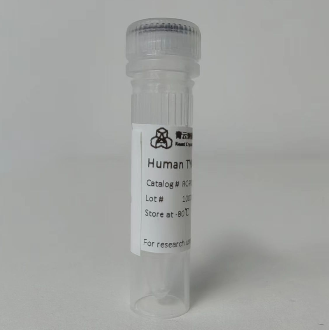 Human PKMYT1蛋白
