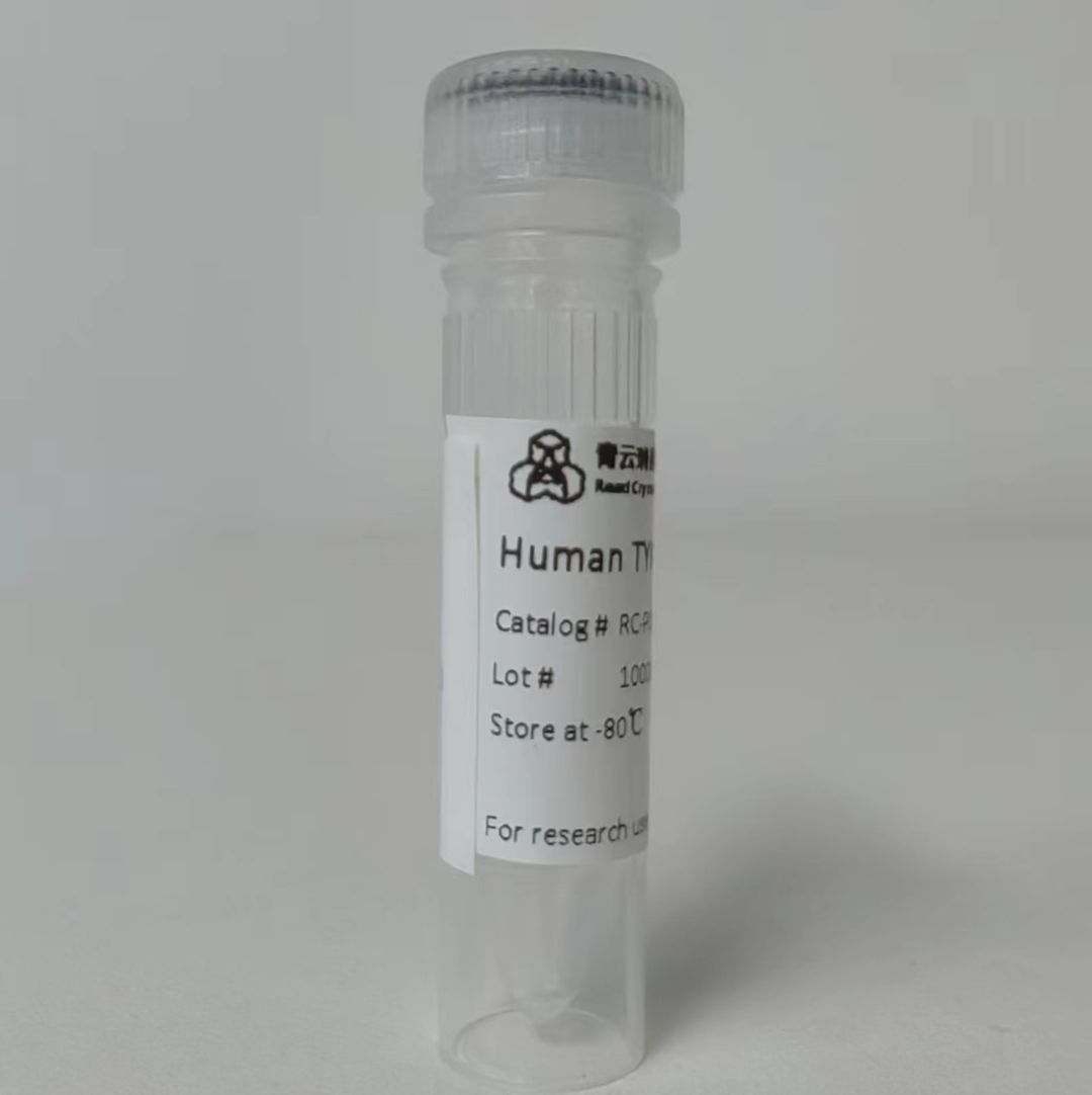 Human KDM4C蛋白