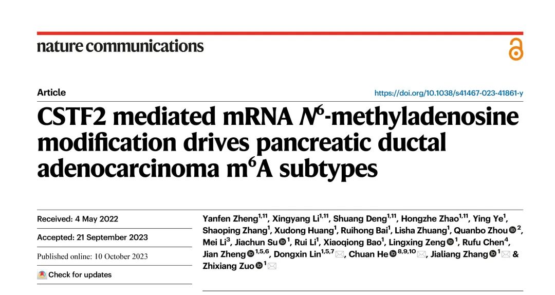 Nature子刊丨CSTF2介导的mRNA m6A修饰驱动胰腺导管腺癌m6A亚型