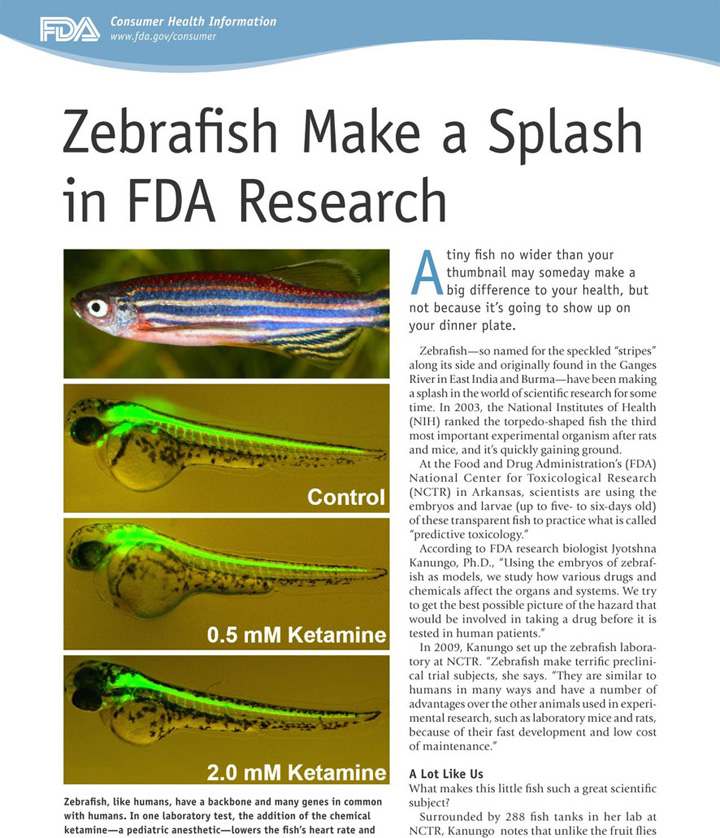 诚邀合作 | 环特人源化斑马鱼模型重大开发项目诚邀合作伙伴，共同开启药物研发！