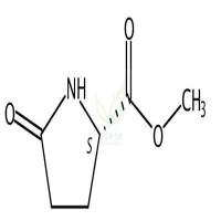 L-焦谷氨酸甲酯  CAS号：4931-66-2