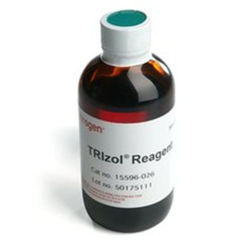 Invitrogen原装TRIZOL试剂（15596-026/15596-018）100ML/200ML