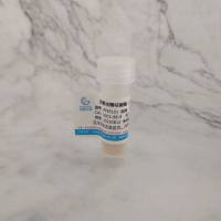 脱氧核糖核酸酶Ⅰ(牛胰)