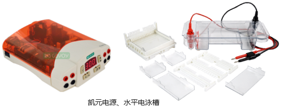 琼脂糖凝胶电泳介绍
