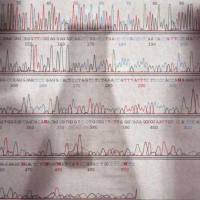 TotalSeq™-A0215 抗人 CD268 (BAFF-R) 抗体