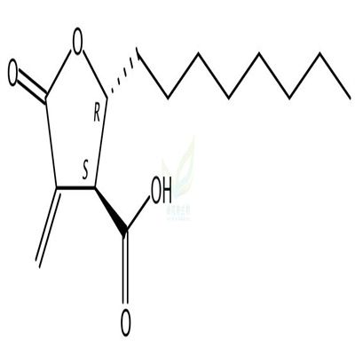 反-4-羧基-5-辛基-3-甲基-丁内酯  