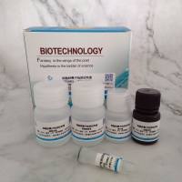 细胞铁离子检测试剂盒