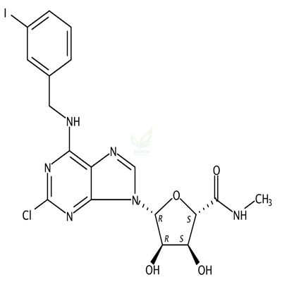 氯-IB-MECA  CAS号：163042-96-4