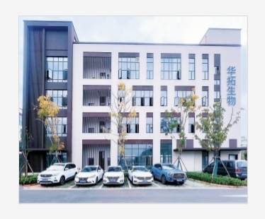 9L小鼠胶质瘤|9L细胞|小鼠胶质瘤|9L细胞|小鼠胶质瘤|