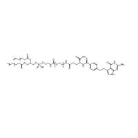 DSPE-PEG-PMT 磷脂聚乙二醇培美曲塞 