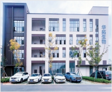 MC3T3-E1小鼠胚胎成骨细胞前体细胞|MC3T3-E1细