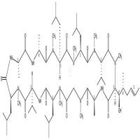 环孢菌素B CAS号:63775-95-1