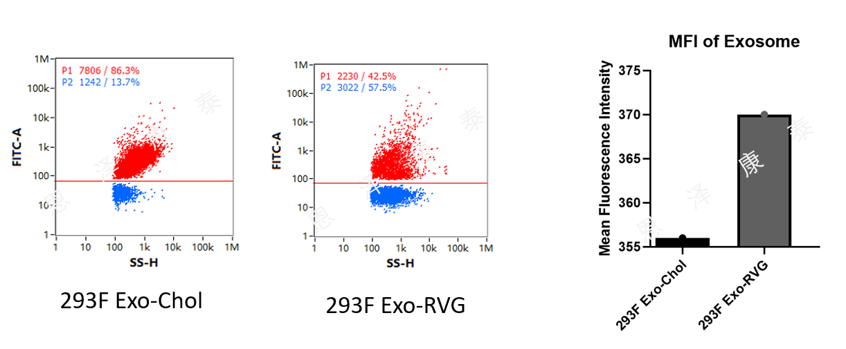 ExoBrooch®外泌体RVG靶向肽修饰试剂盒-靶向神经系