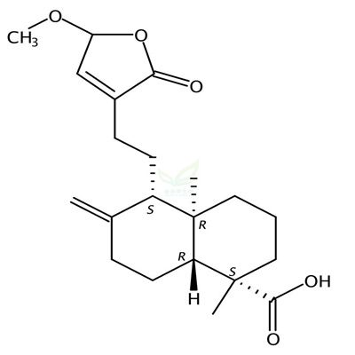 15-甲氧基松柏酸  CAS号：769928-72-5