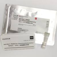 小胶质细胞标记抗体 抗Iba1，兔（免疫细胞化学）