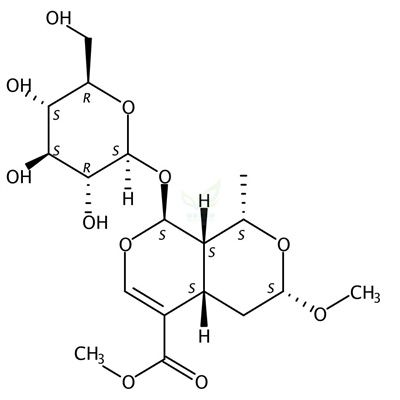 7α-O-甲基莫诺苷  CAS号：119943-45-2