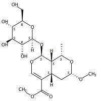 7α-O-甲基莫诺苷  CAS号：119943-45-2