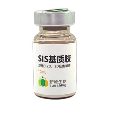 SIS基质胶 （猪脱细胞小肠黏膜下层基质）-细胞培养、细胞载体、组织修复