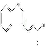 3-吲哚丙烯酸 CAS号:1204-06-4