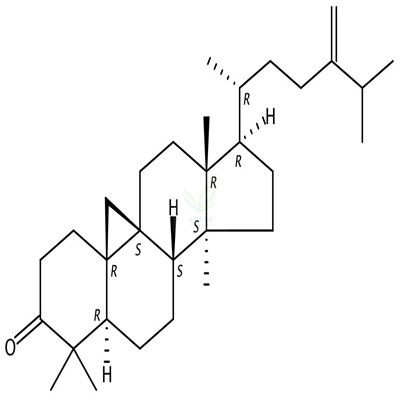 24-Methylenecycloartanone  CAS号：1449-08-7