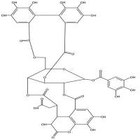 诃子鞣酸 CAS号:23094-71-5